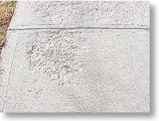 Damaged Driveway