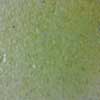 Citron